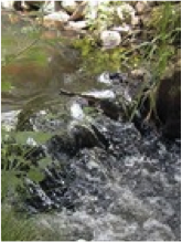 rock water