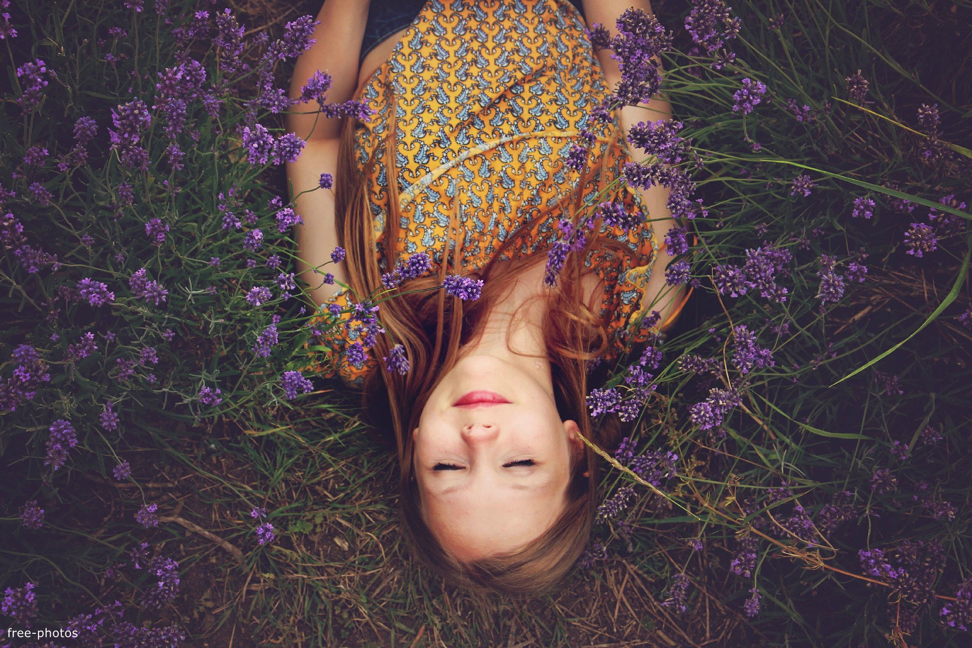 free photos
