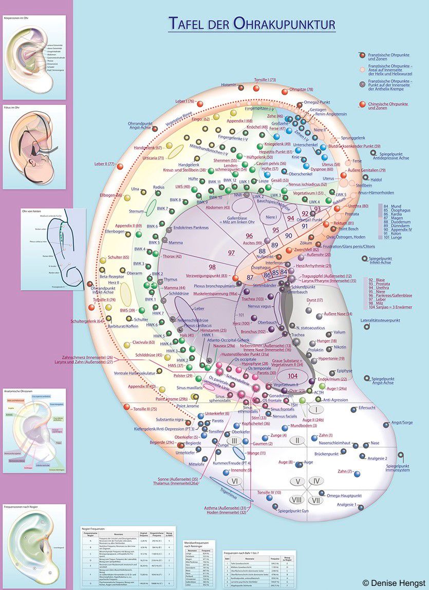 Ohrakupunkturtafel