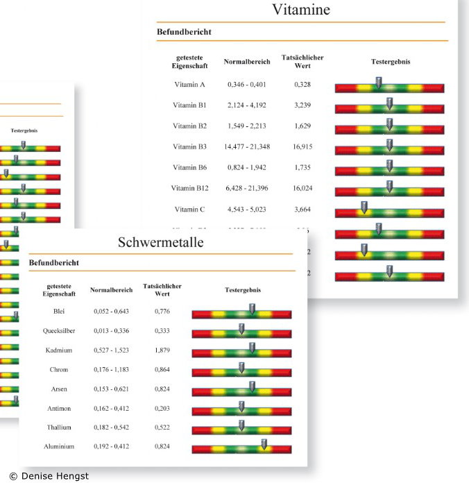 Vitalstoffanalyse 2